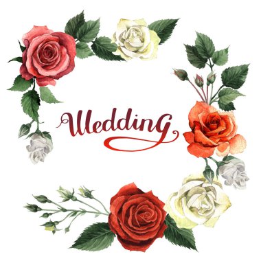 Kır çiçeği gül çiçek çerçeve izole bir suluboya tarzında.