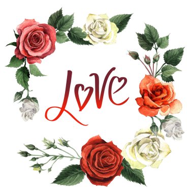 Kır çiçeği gül çiçek çerçeve izole bir suluboya tarzında.