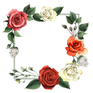 Kır çiçeği gül çiçek çerçeve izole bir suluboya tarzında.