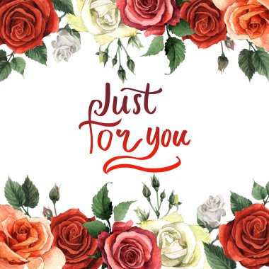 Kır çiçeği gül çiçek çerçeve izole bir suluboya tarzında.