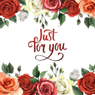 Kır çiçeği gül çiçek çerçeve izole bir suluboya tarzında.