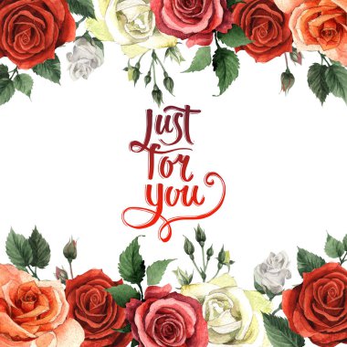 Kır çiçeği gül çiçek çerçeve izole bir suluboya tarzında.