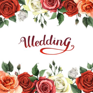 Kır çiçeği gül çiçek çerçeve izole bir suluboya tarzında.