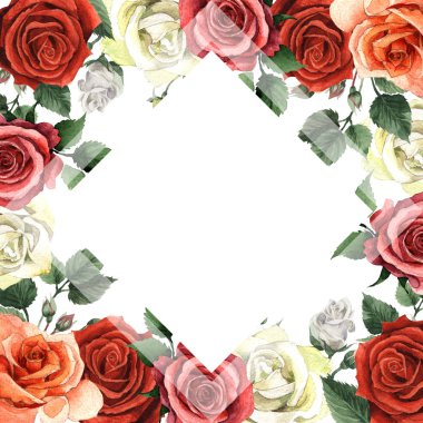 Kır çiçeği gül çiçek çerçeve izole bir suluboya tarzında.