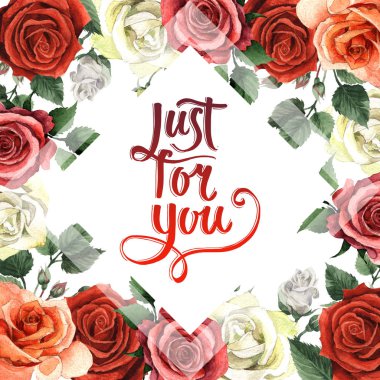 Kır çiçeği gül çiçek çerçeve izole bir suluboya tarzında.