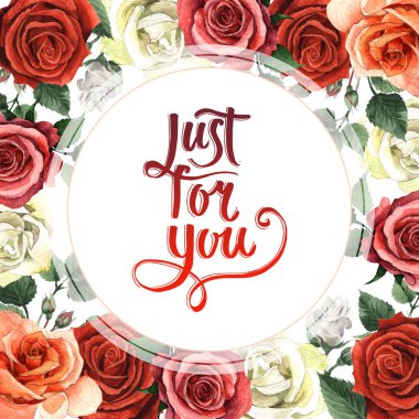 Kır çiçeği gül çiçek çerçeve izole bir suluboya tarzında.