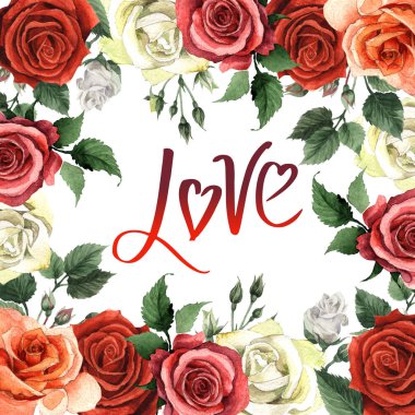 Kır çiçeği gül çiçek çerçeve izole bir suluboya tarzında.