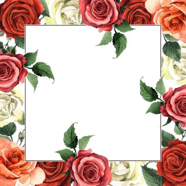 Kır çiçeği gül çiçek çerçeve izole bir suluboya tarzında.