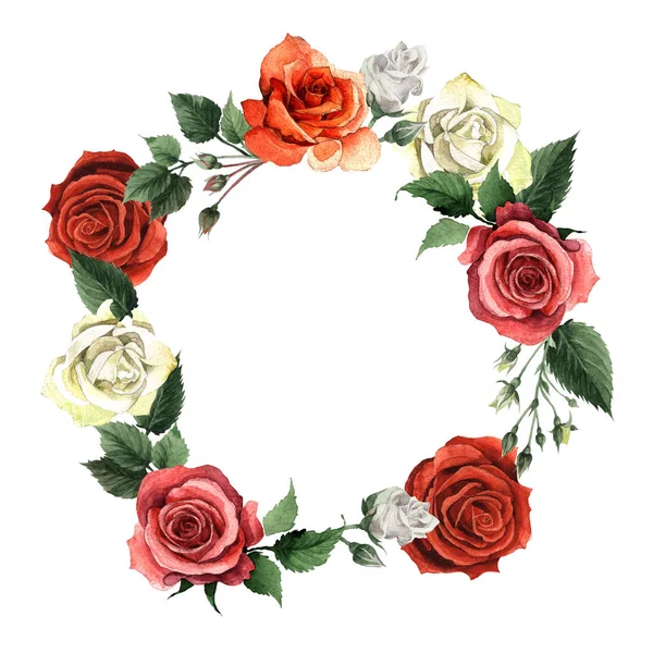 Kır çiçeği gül çiçek çelenk izole bir suluboya tarzında.