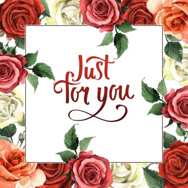 Kır çiçeği gül çiçek çerçeve izole bir suluboya tarzında.