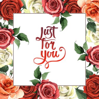 Kır çiçeği gül çiçek çerçeve izole bir suluboya tarzında.