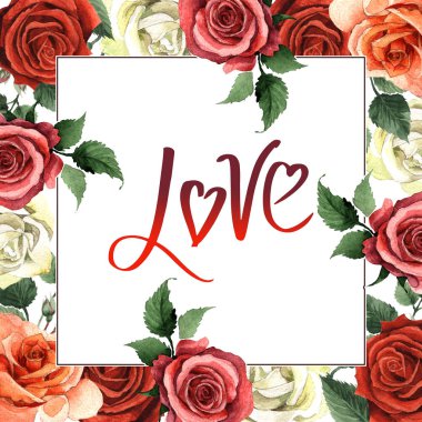 Kır çiçeği gül çiçek çerçeve izole bir suluboya tarzında.