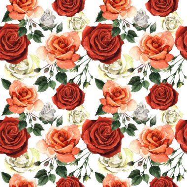 Kır çiçeği gül çiçek deseni izole bir suluboya tarzında.