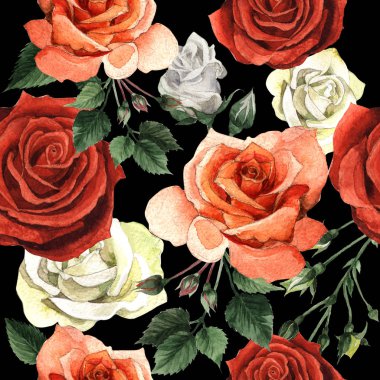 Kır çiçeği gül çiçek deseni izole bir suluboya tarzında.