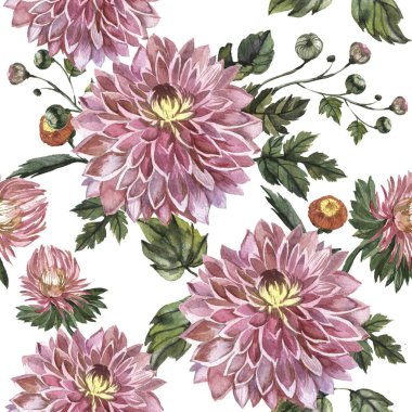 Kır çiçeği aster çiçek deseni izole bir suluboya tarzında.