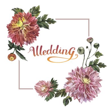 Kır çiçeği aster çiçek çerçeve izole bir suluboya tarzında.