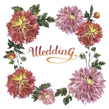 Kır çiçeği aster çiçek çerçeve izole bir suluboya tarzında.