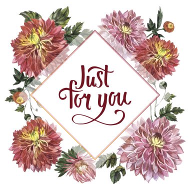 Kır çiçeği aster çiçek çerçeve izole bir suluboya tarzında.