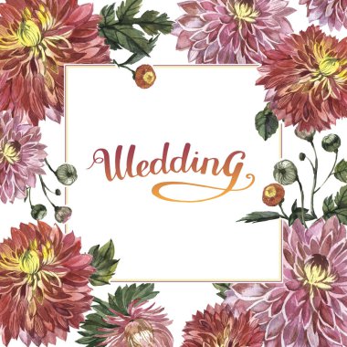 Kır çiçeği aster çiçek çerçeve izole bir suluboya tarzında.