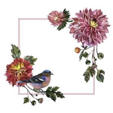 Kır çiçeği aster çiçek çerçeve izole bir suluboya tarzında.