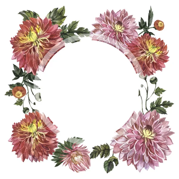 Wildflower aster flower frame in a watercolor style isolated. — Stock Photo, Image