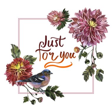 Kır çiçeği aster çiçek çerçeve izole bir suluboya tarzında.