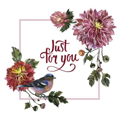 Kır çiçeği aster çiçek çerçeve izole bir suluboya tarzında.