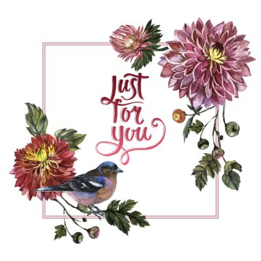 Kır çiçeği aster çiçek çerçeve izole bir suluboya tarzında.