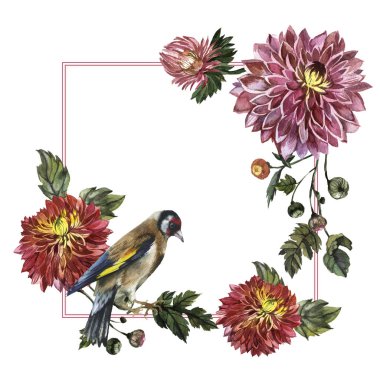 Kır çiçeği aster çiçek çerçeve izole bir suluboya tarzında.