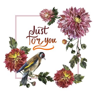 Kır çiçeği aster çiçek çerçeve izole bir suluboya tarzında.