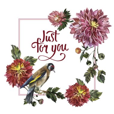 Kır çiçeği aster çiçek çerçeve izole bir suluboya tarzında.