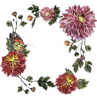 Kır çiçeği aster çiçek çerçeve izole bir suluboya tarzında.