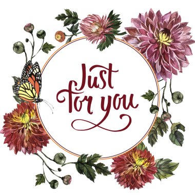 Kır çiçeği aster çiçek çerçeve izole bir suluboya tarzında.