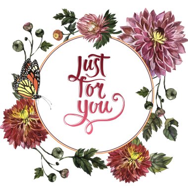 Kır çiçeği aster çiçek çerçeve izole bir suluboya tarzında.