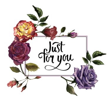 Kır çiçeği gül çiçek çerçeve izole bir suluboya tarzında.