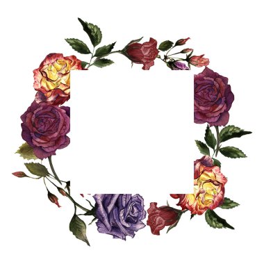 Kır çiçeği gül çiçek çerçeve izole bir suluboya tarzında.