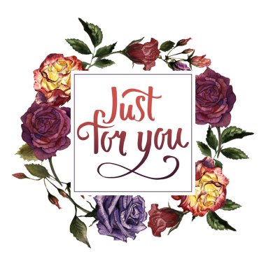 Kır çiçeği gül çiçek çerçeve izole bir suluboya tarzında.