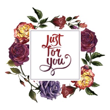 Kır çiçeği gül çiçek çerçeve izole bir suluboya tarzında.