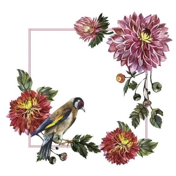 Kır çiçeği aster çiçek çerçeve izole bir suluboya tarzında.