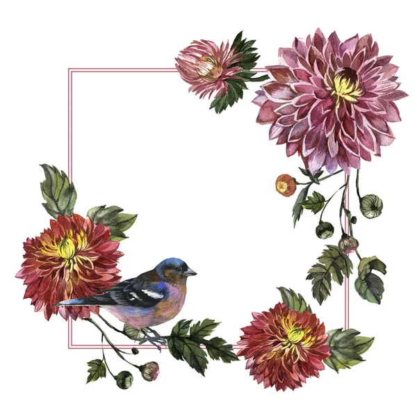 Kır çiçeği aster çiçek çerçeve izole bir suluboya tarzında.