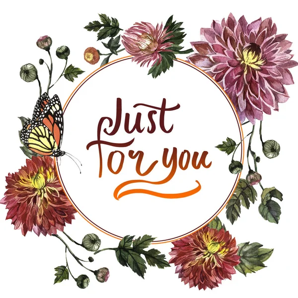 Kır çiçeği aster çiçek çerçeve izole bir suluboya tarzında.