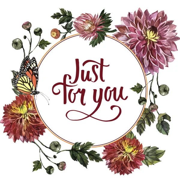 Kır çiçeği aster çiçek çerçeve izole bir suluboya tarzında.