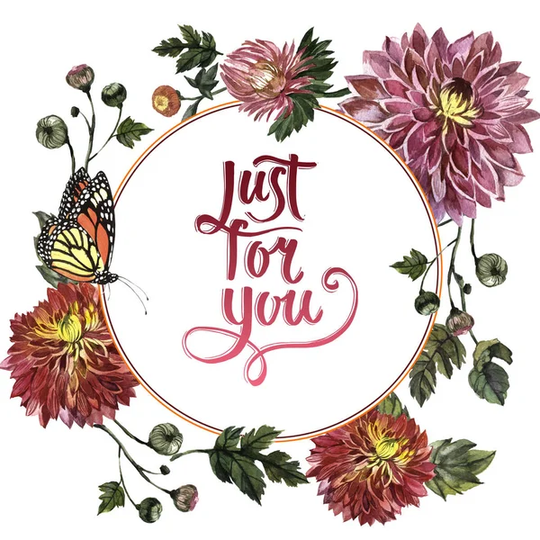 Kır çiçeği aster çiçek çerçeve izole bir suluboya tarzında.