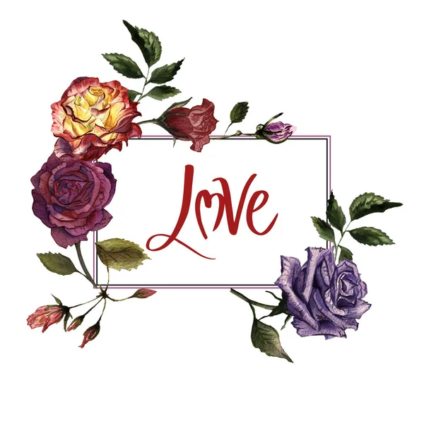 Kır çiçeği gül çiçek çerçeve izole bir suluboya tarzında.