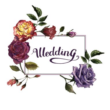 Kır çiçeği gül çiçek çerçeve izole bir suluboya tarzında.