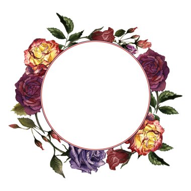 Kır çiçeği gül çiçek çerçeve izole bir suluboya tarzında.