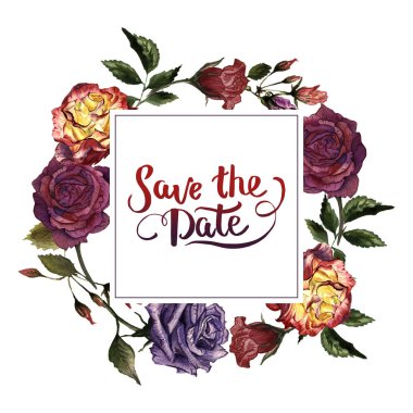 Kır çiçeği gül çiçek çerçeve izole bir suluboya tarzında.