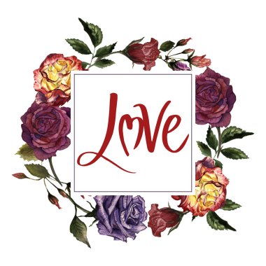 Kır çiçeği gül çiçek çerçeve izole bir suluboya tarzında.