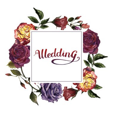 Kır çiçeği gül çiçek çerçeve izole bir suluboya tarzında.