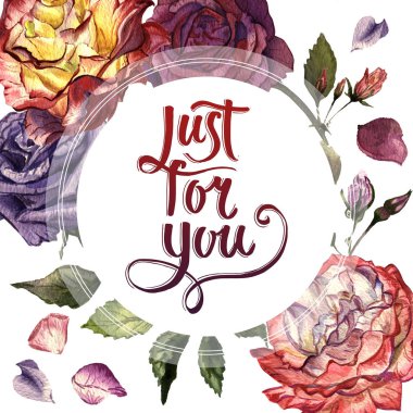 Kır çiçeği gül çiçek çerçeve izole bir suluboya tarzında.